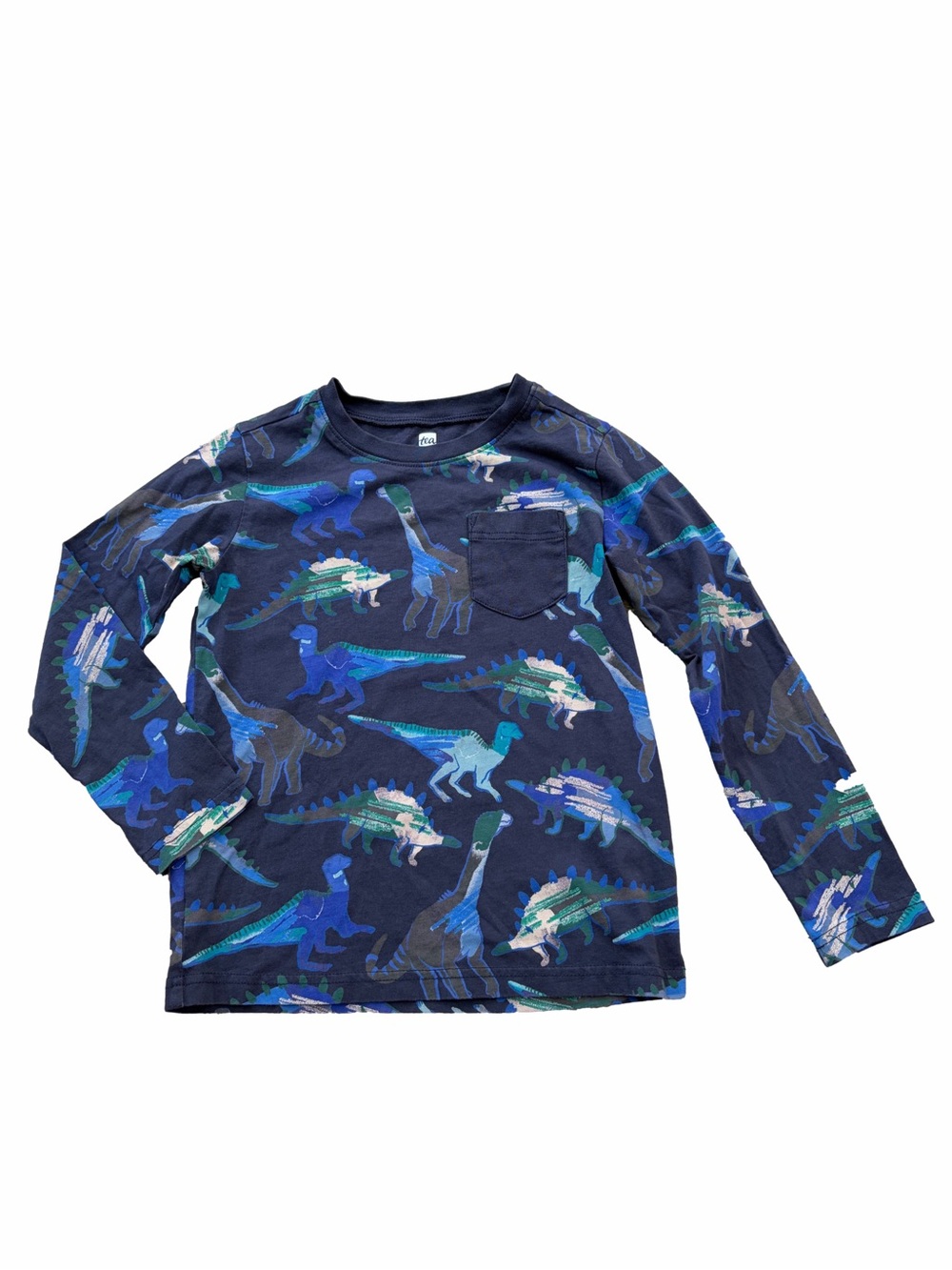 Tea Collection Boy’s Size 6 Blue Green Dinosaur Long Sleeve Pocket Tee